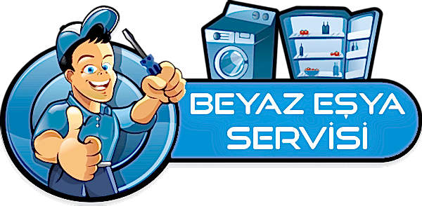 Bursa Altus Servisi